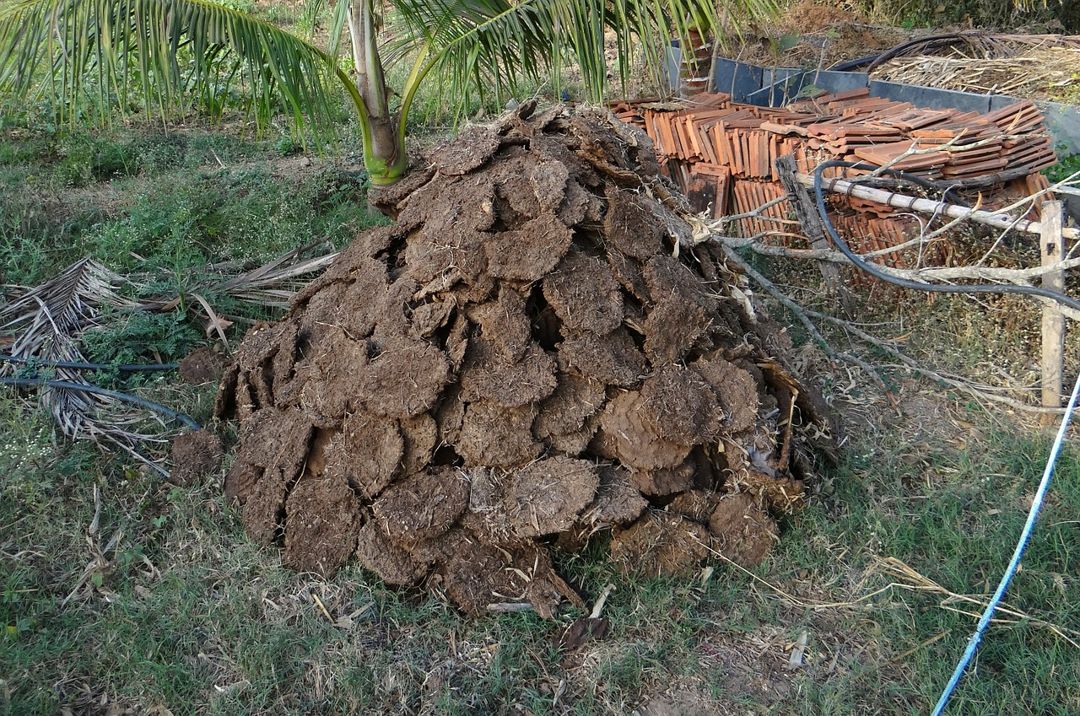 usaha pembuatan pupuk kandang